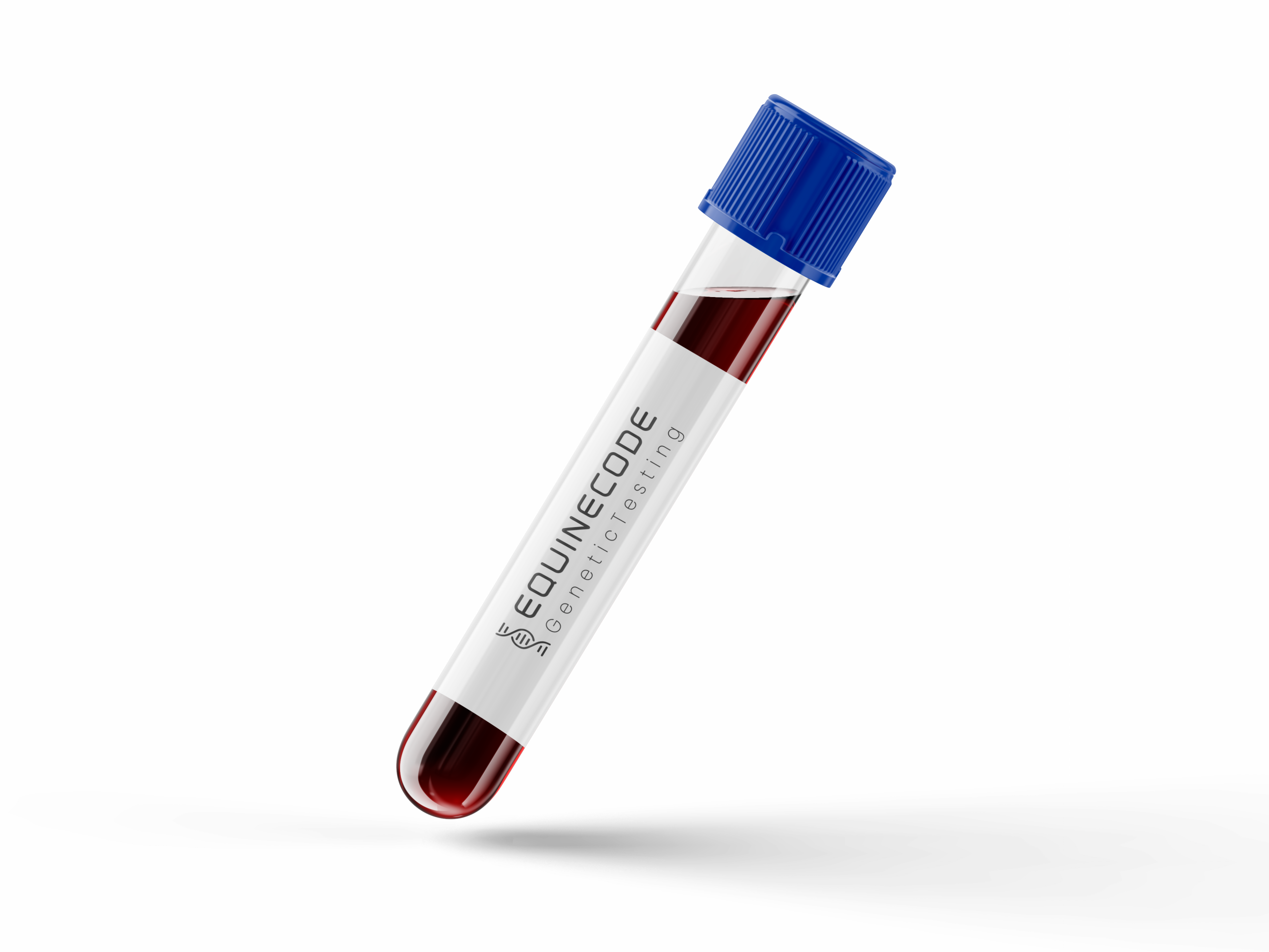 EquineCode identidad