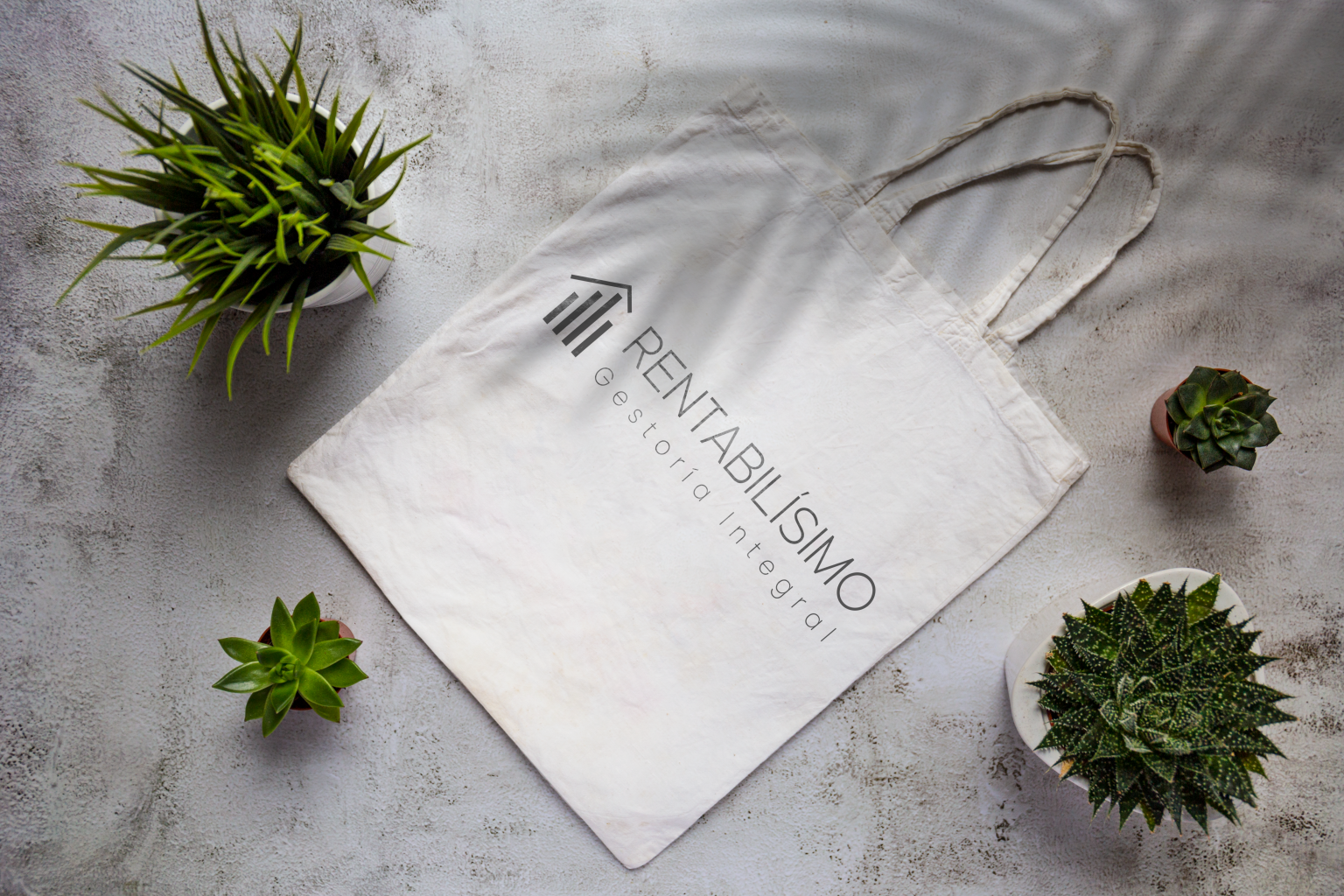 Rentabilísimo web interior