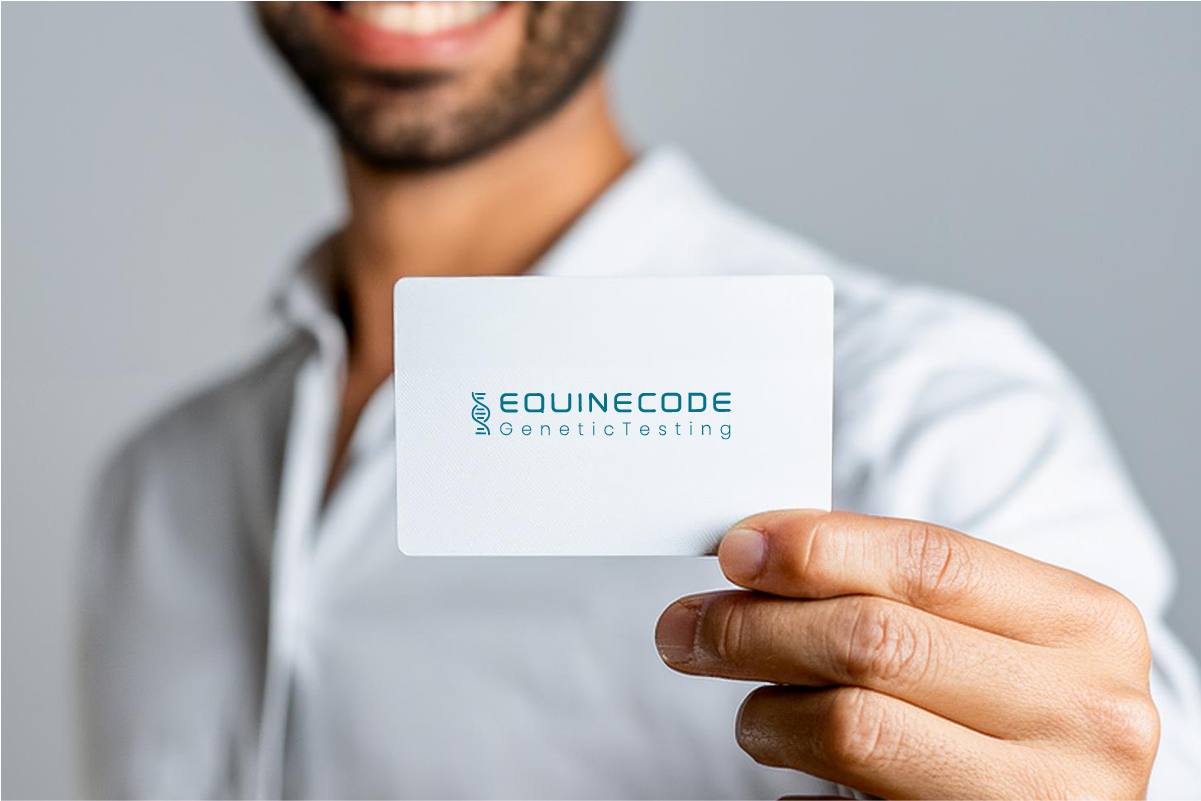 EquineCode recurso 4