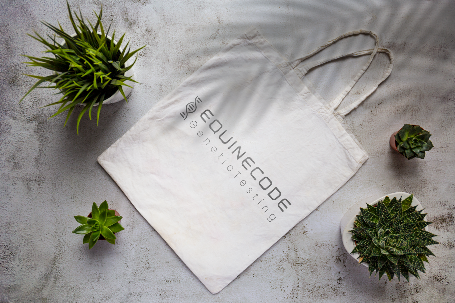 EquineCode bag